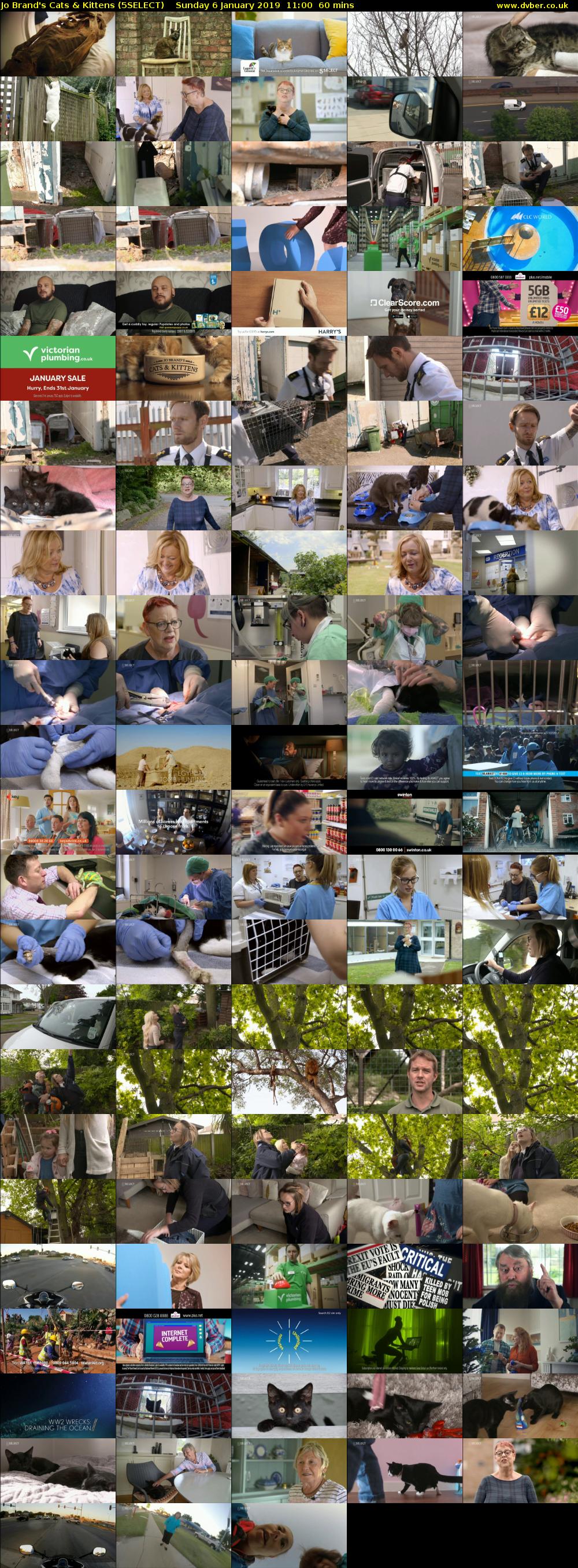 Jo Brand's Cats & Kittens (5SELECT) Sunday 6 January 2019 11:00 - 12:00