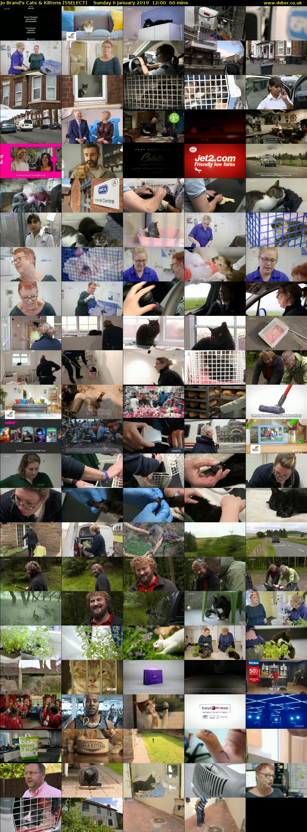 Jo Brand's Cats & Kittens (5SELECT) Sunday 6 January 2019 12:00 - 13:00