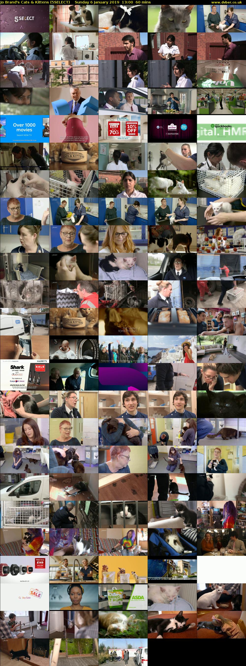 Jo Brand's Cats & Kittens (5SELECT) Sunday 6 January 2019 13:00 - 14:00