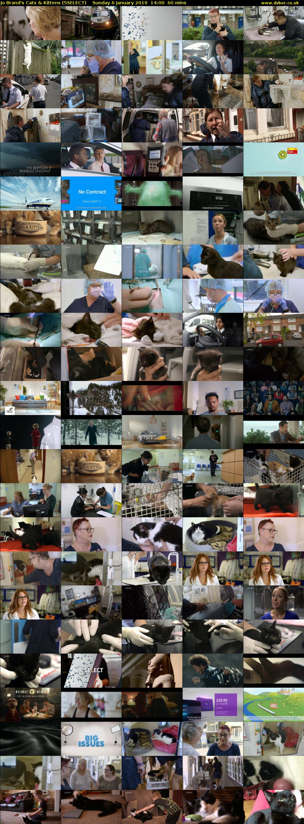 Jo Brand's Cats & Kittens (5SELECT) Sunday 6 January 2019 14:00 - 15:00