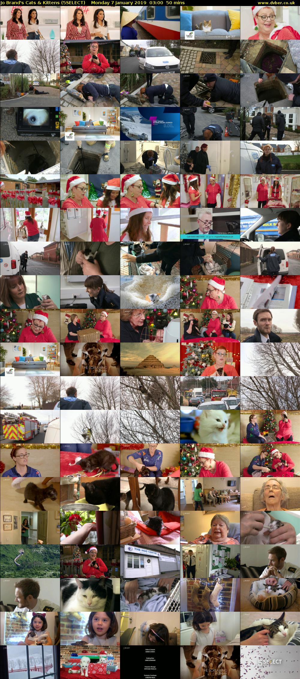 Jo Brand's Cats & Kittens (5SELECT) Monday 7 January 2019 03:00 - 03:50