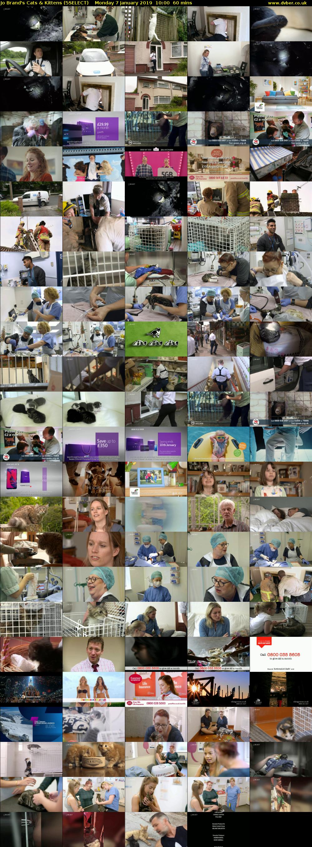 Jo Brand's Cats & Kittens (5SELECT) Monday 7 January 2019 10:00 - 11:00