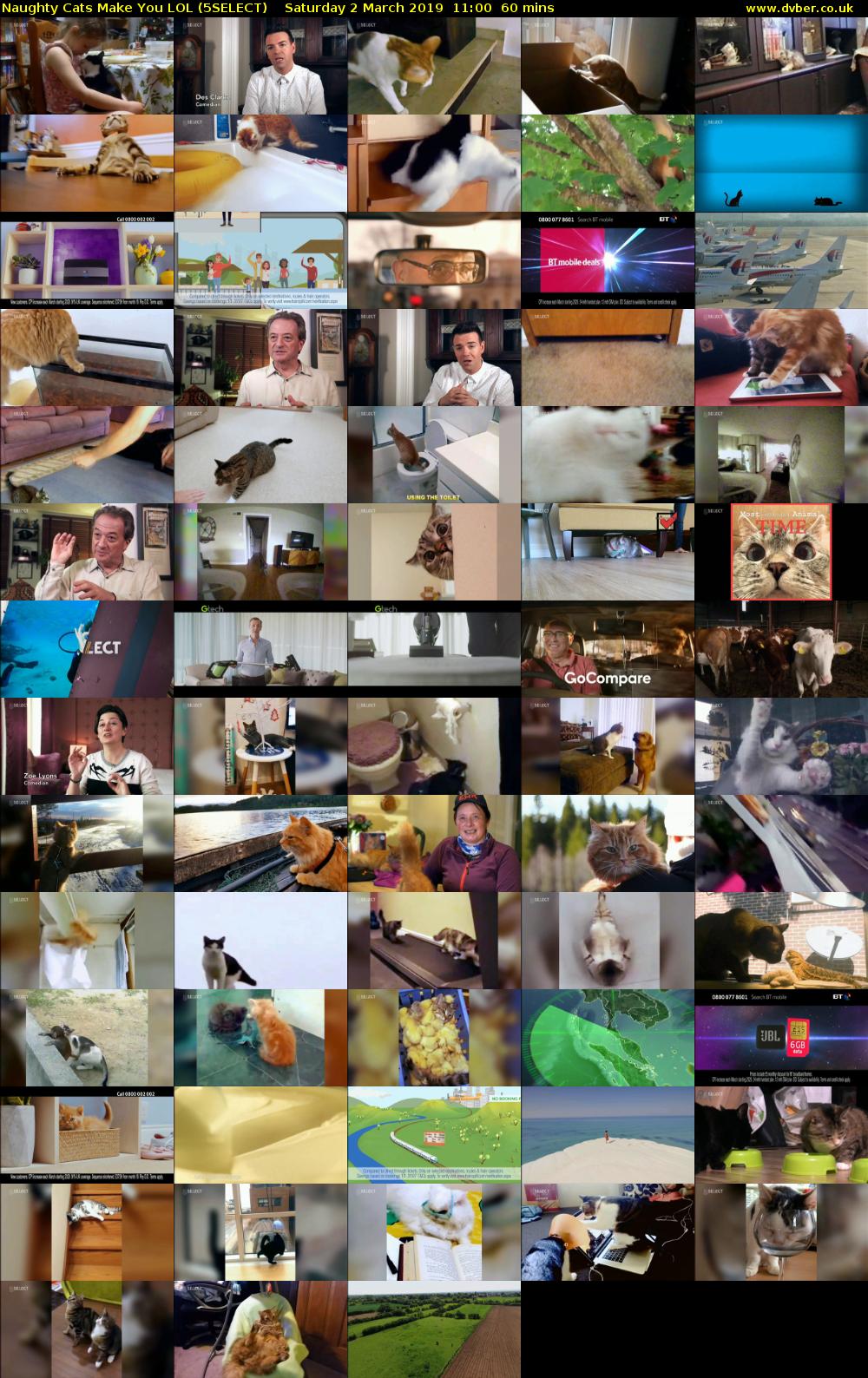 Naughty Cats Make You LOL (5SELECT) Saturday 2 March 2019 11:00 - 12:00