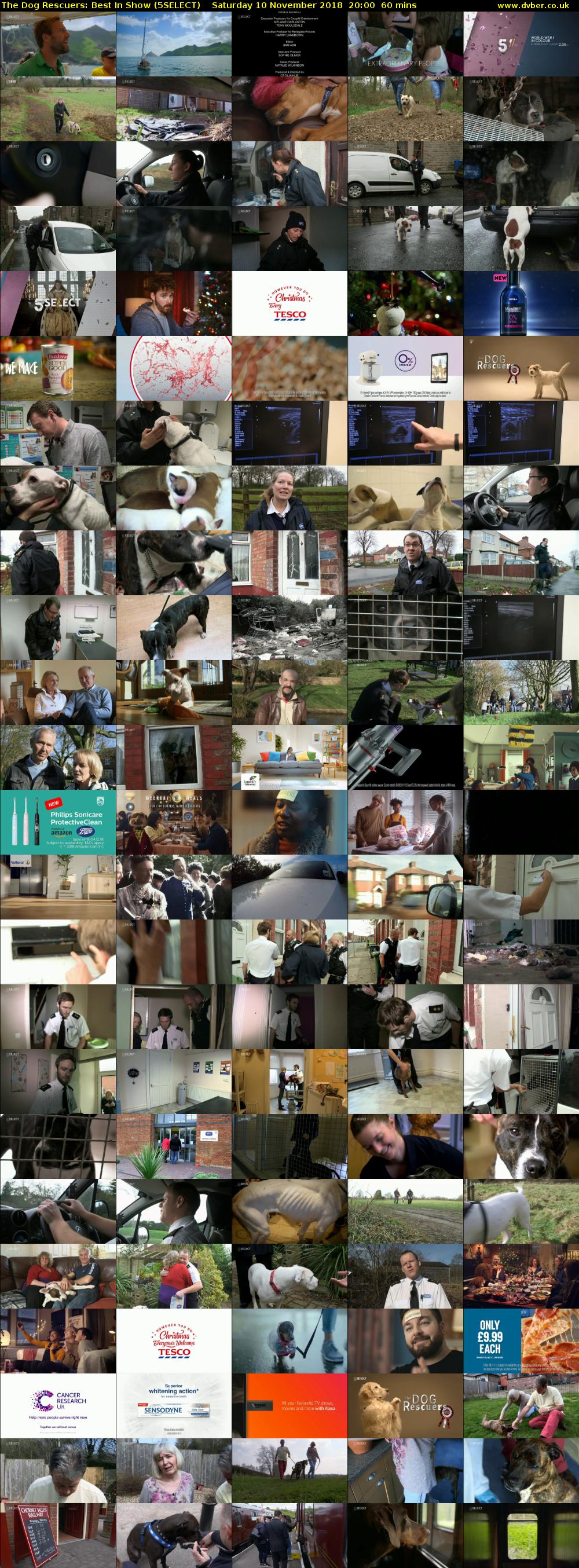 The Dog Rescuers: Best In Show (5SELECT) Saturday 10 November 2018 20:00 - 21:00