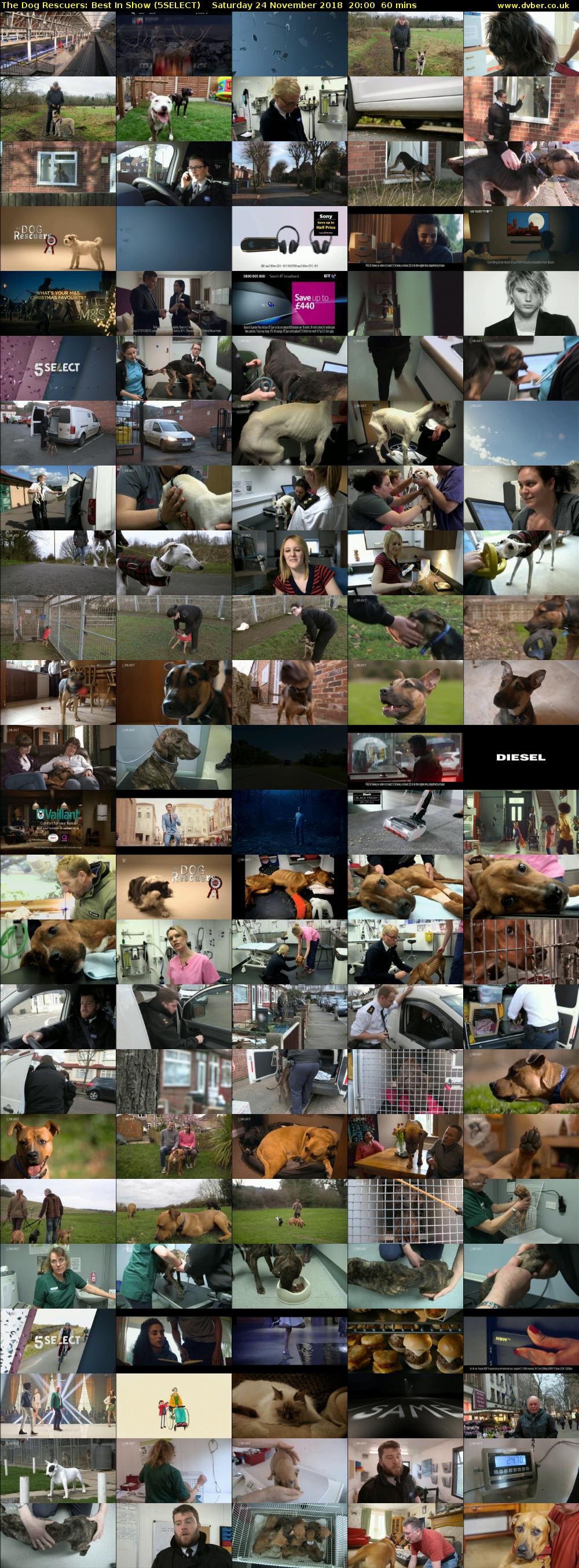 The Dog Rescuers: Best In Show (5SELECT) Saturday 24 November 2018 20:00 - 21:00