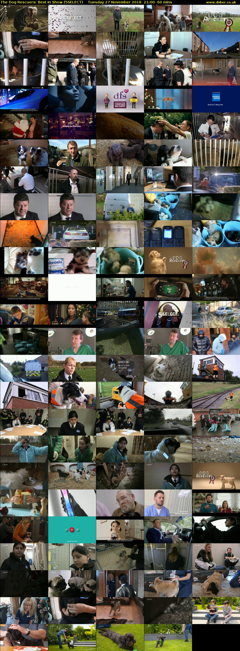 The Dog Rescuers: Best In Show (5SELECT) Tuesday 27 November 2018 21:00 - 22:00