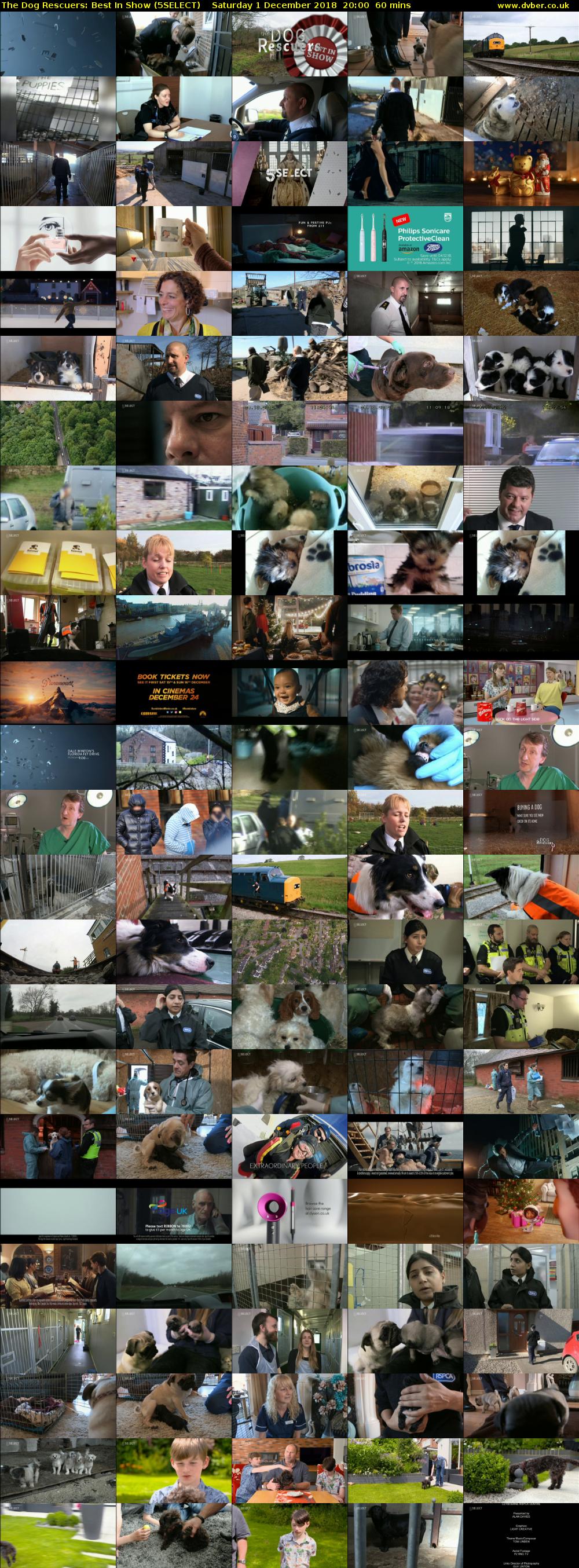 The Dog Rescuers: Best In Show (5SELECT) Saturday 1 December 2018 20:00 - 21:00