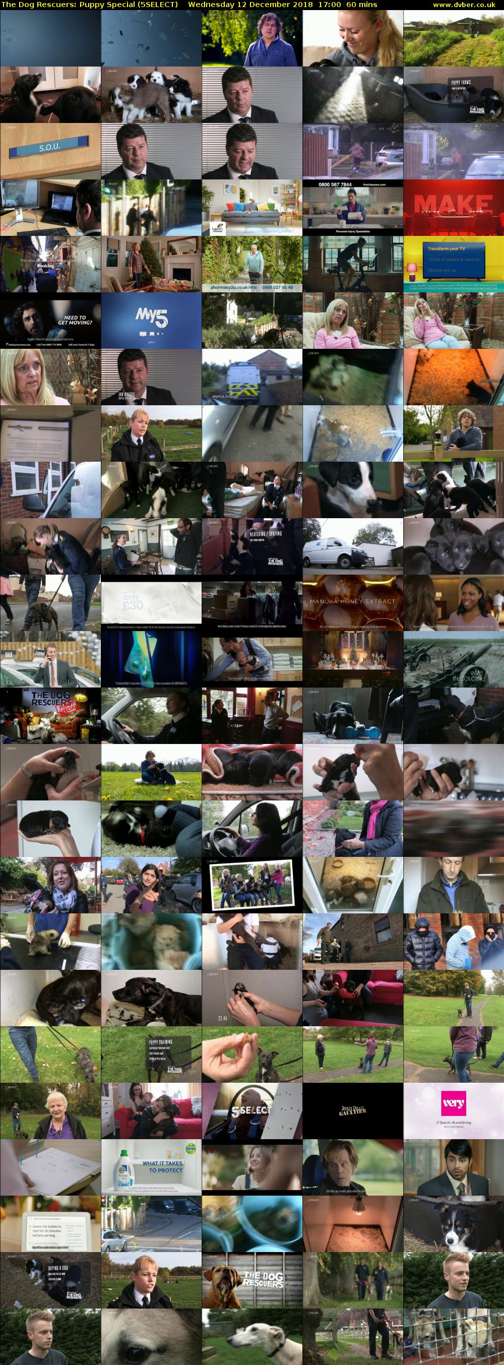 The Dog Rescuers: Puppy Special (5SELECT) Wednesday 12 December 2018 17:00 - 18:00