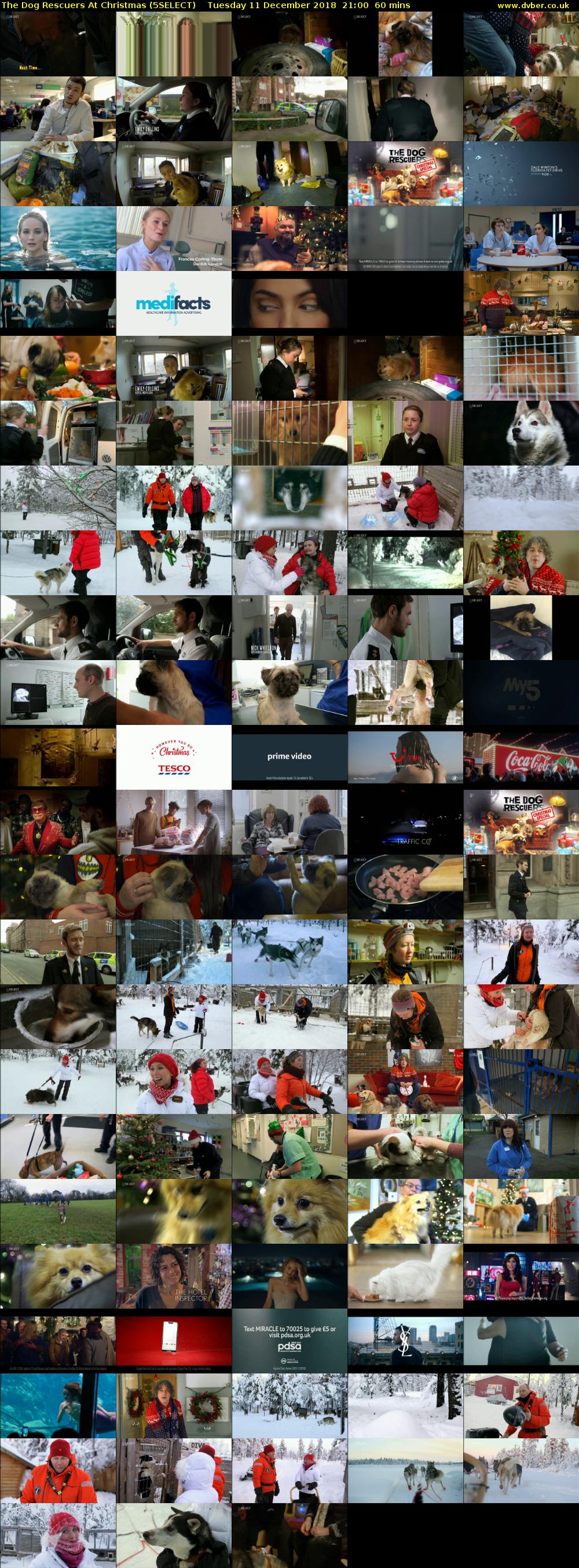 The Dog Rescuers At Christmas (5SELECT) Tuesday 11 December 2018 21:00 - 22:00