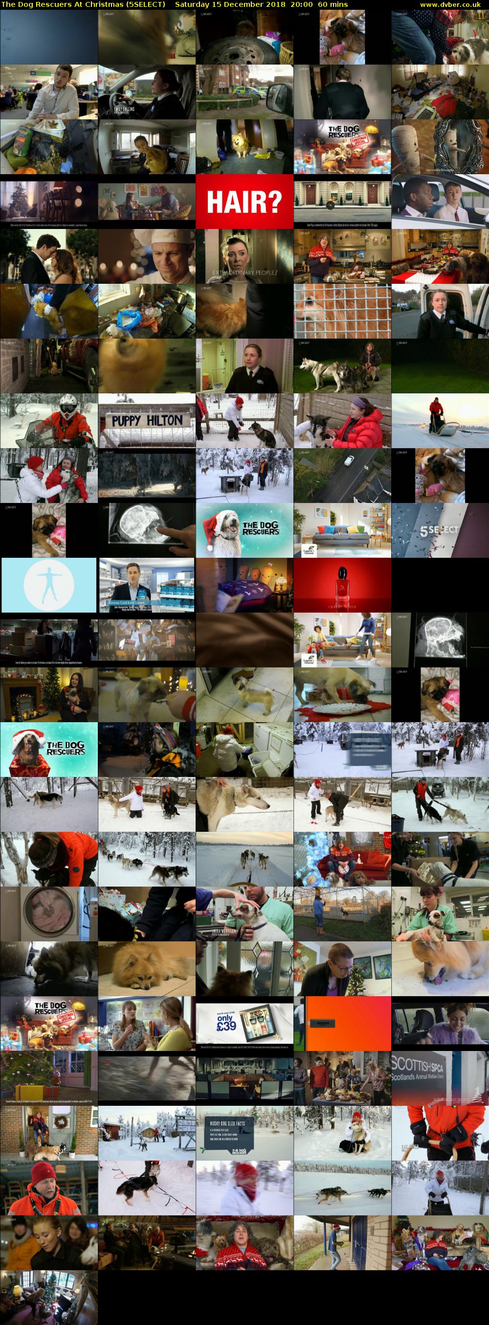 The Dog Rescuers At Christmas (5SELECT) Saturday 15 December 2018 20:00 - 21:00