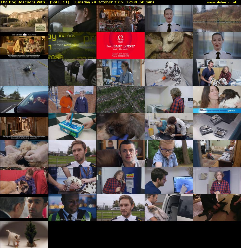 The Dog Rescuers With... (5SELECT) Tuesday 29 October 2019 17:00 - 18:00