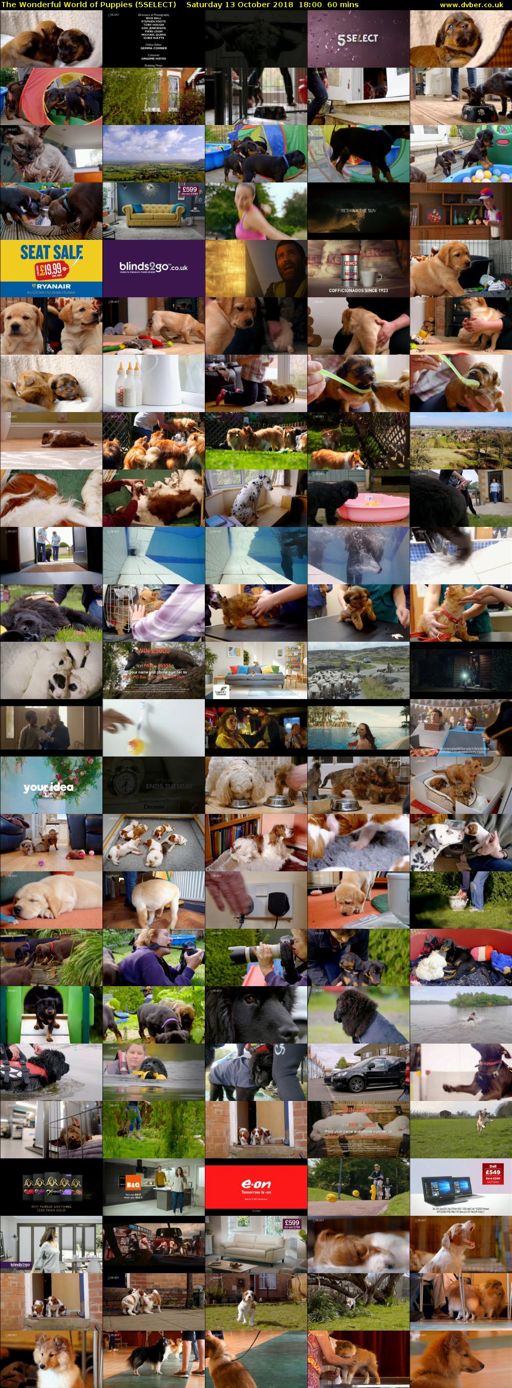 The Wonderful World of Puppies (5SELECT) Saturday 13 October 2018 18:00 - 19:00