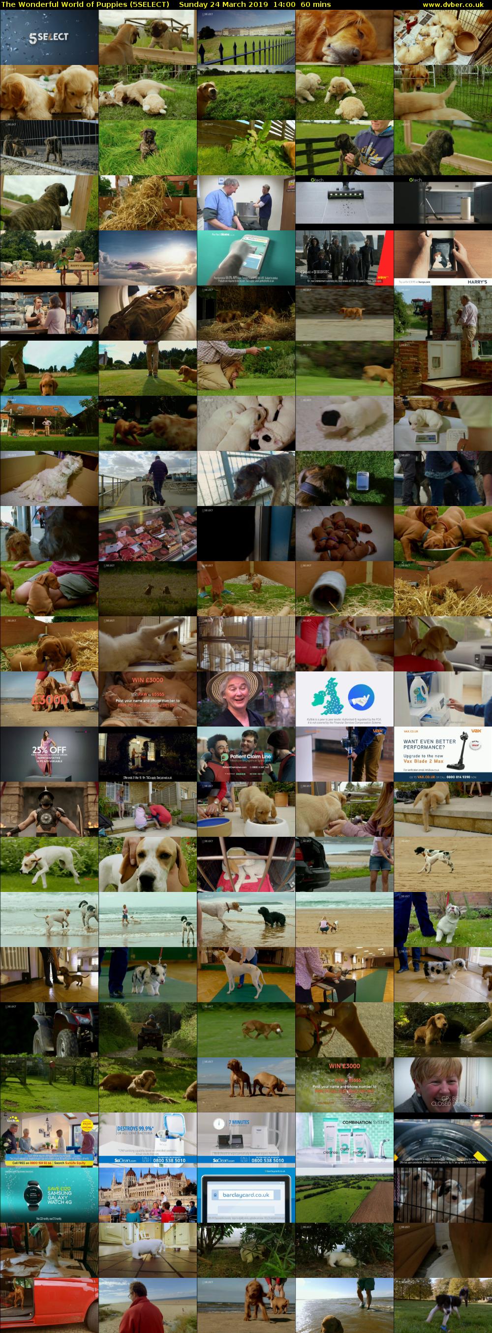 The Wonderful World of Puppies (5SELECT) Sunday 24 March 2019 14:00 - 15:00