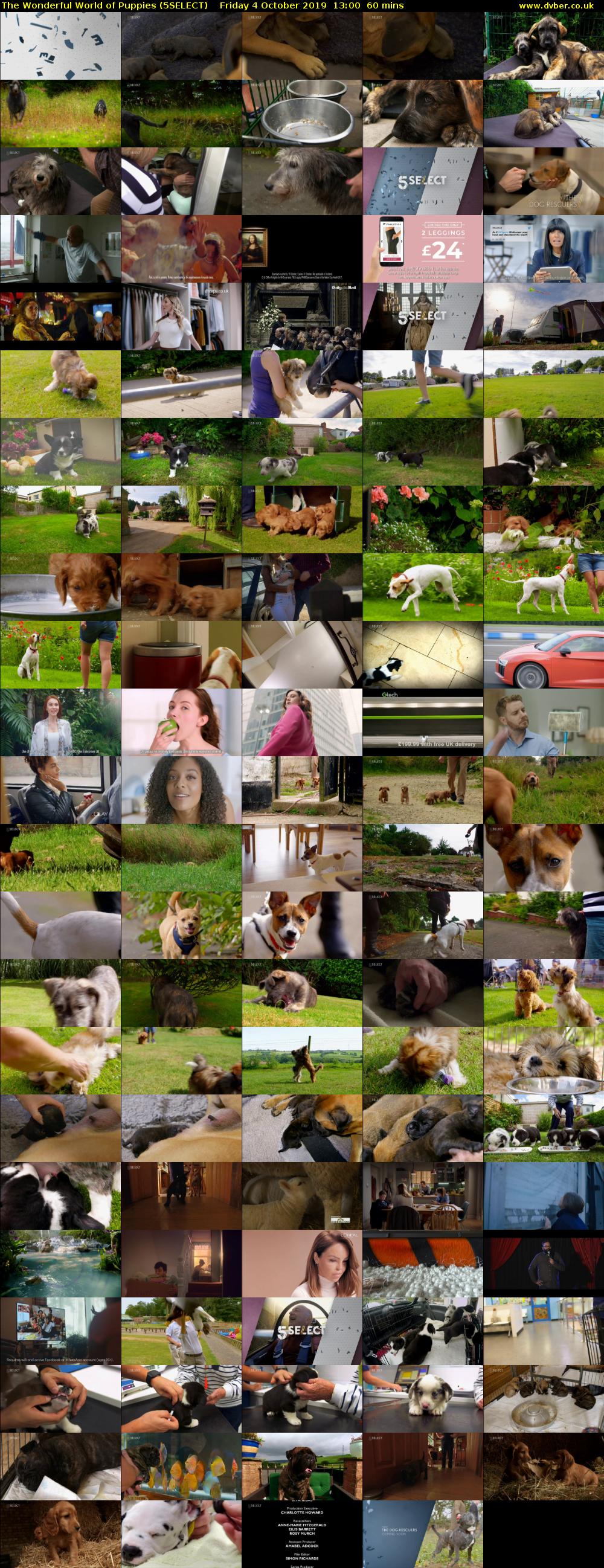 The Wonderful World of Puppies (5SELECT) Friday 4 October 2019 13:00 - 14:00