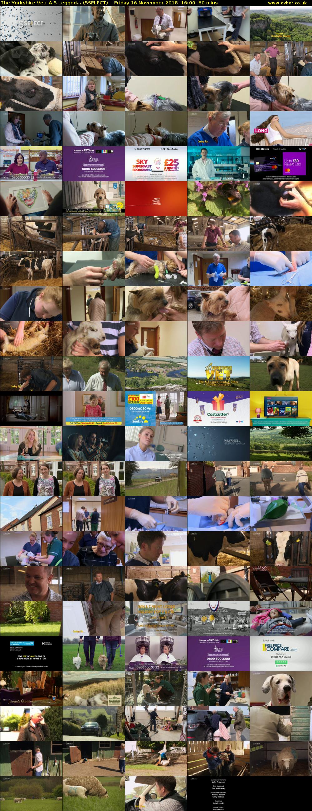 The Yorkshire Vet: A 5 Legged... (5SELECT) Friday 16 November 2018 16:00 - 17:00