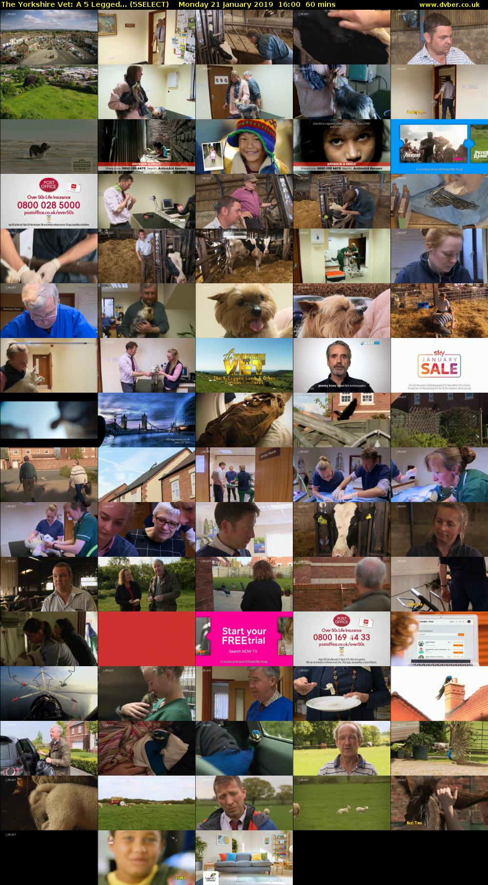 The Yorkshire Vet: A 5 Legged... (5SELECT) Monday 21 January 2019 16:00 - 17:00