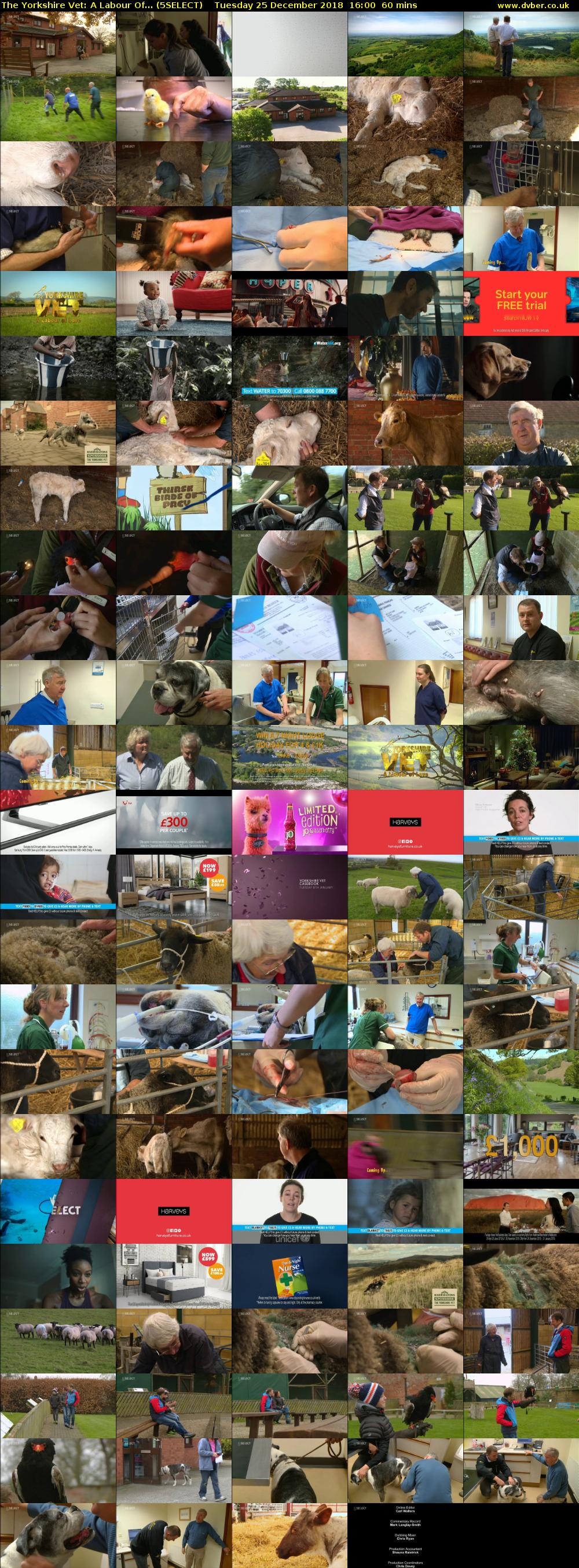 The Yorkshire Vet: A Labour Of... (5SELECT) Tuesday 25 December 2018 16:00 - 17:00