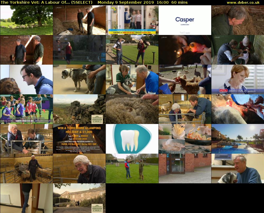 The Yorkshire Vet: A Labour Of... (5SELECT) Monday 9 September 2019 16:00 - 17:00