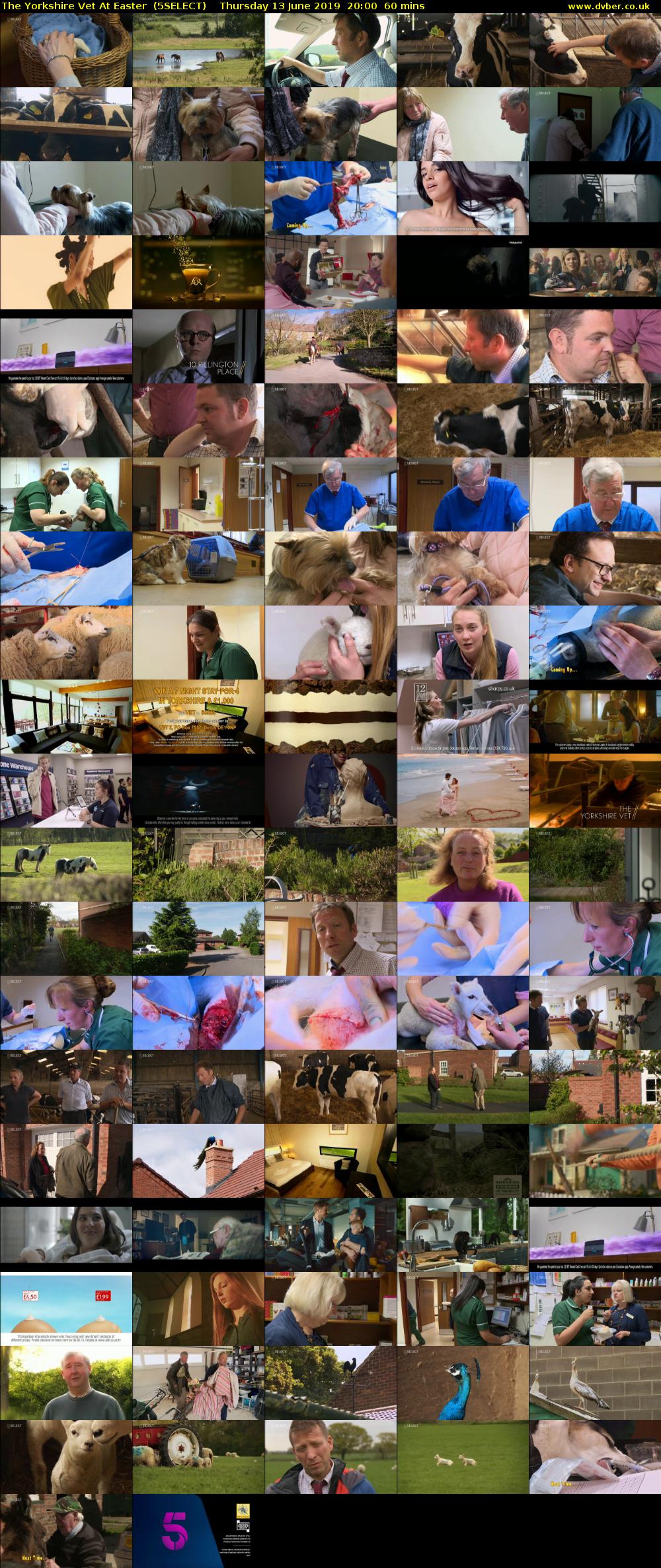 The Yorkshire Vet At Easter  (5SELECT) Thursday 13 June 2019 20:00 - 21:00