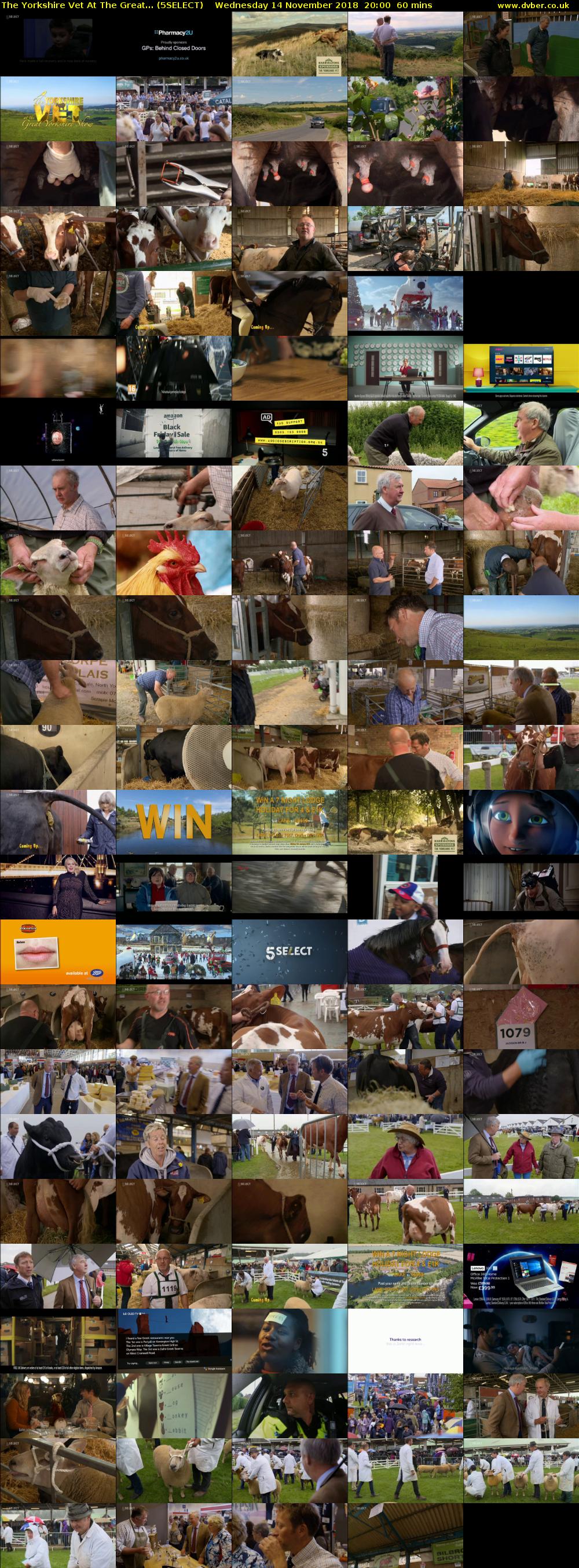 The Yorkshire Vet At The Great... (5SELECT) Wednesday 14 November 2018 20:00 - 21:00