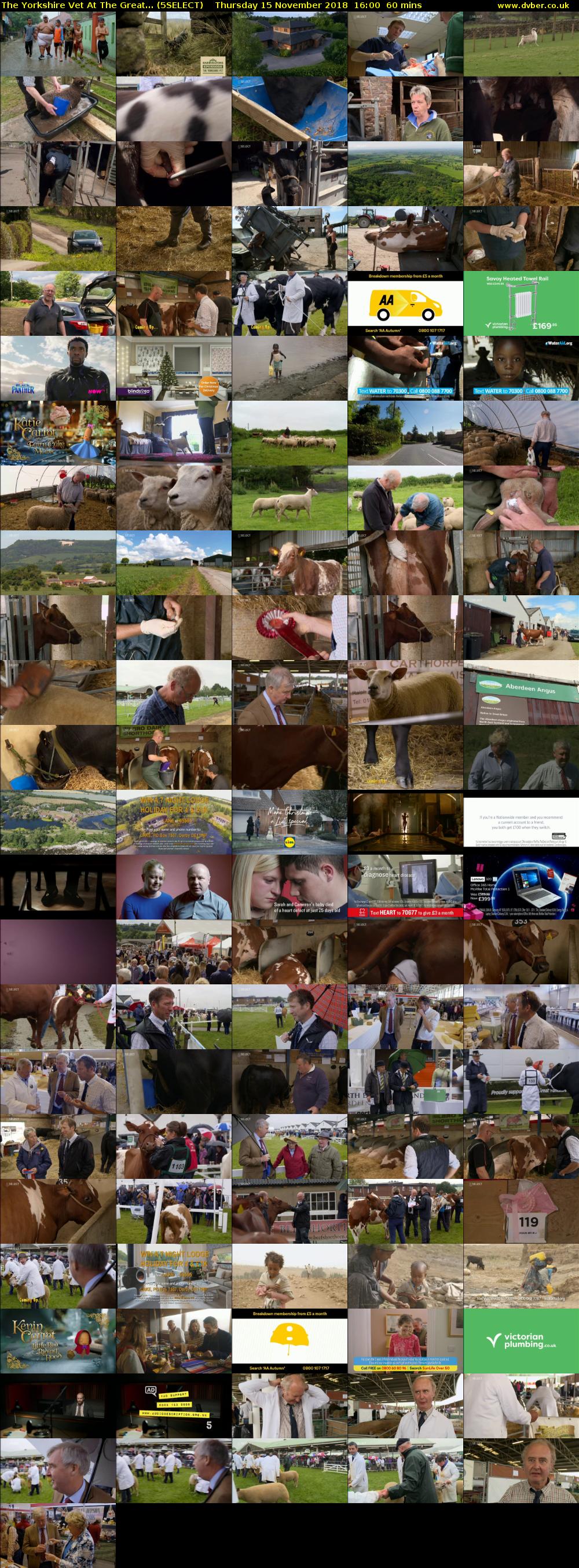 The Yorkshire Vet At The Great... (5SELECT) Thursday 15 November 2018 16:00 - 17:00