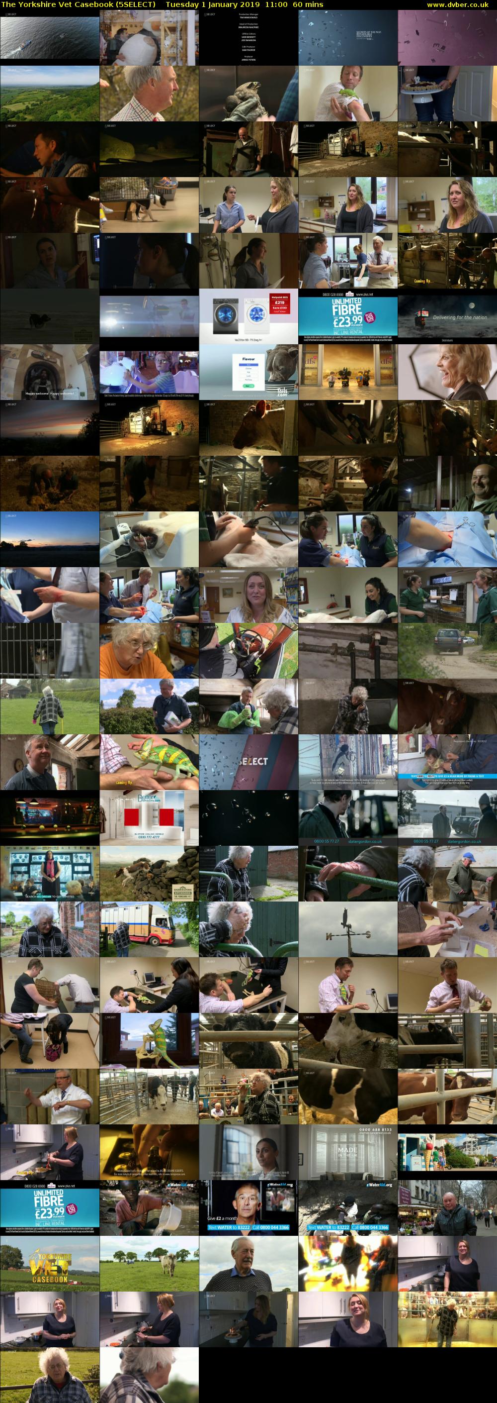 The Yorkshire Vet Casebook (5SELECT) Tuesday 1 January 2019 11:00 - 12:00