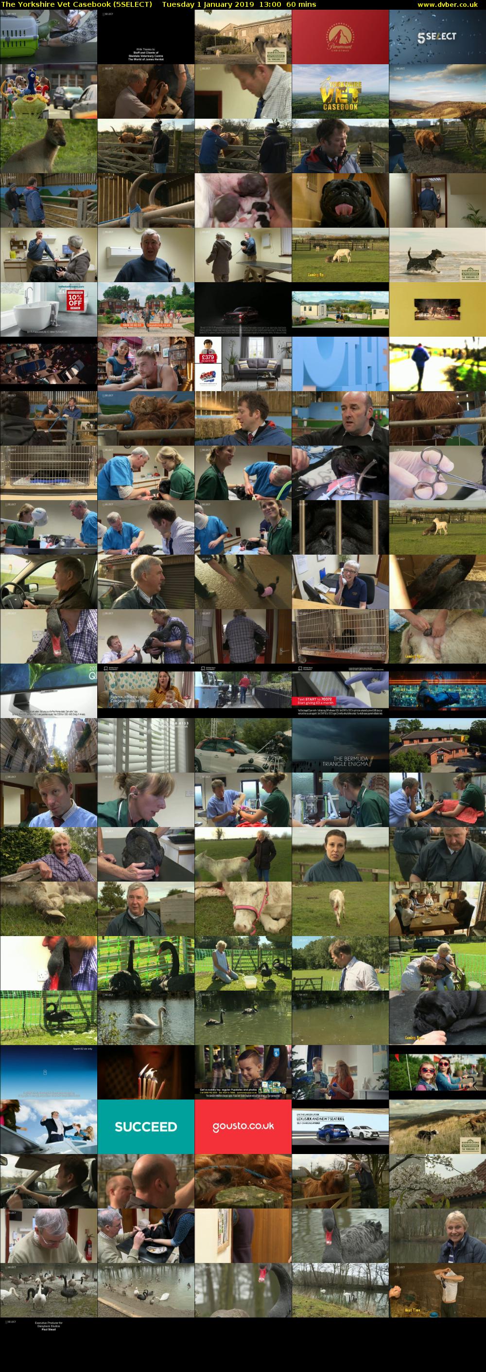 The Yorkshire Vet Casebook (5SELECT) Tuesday 1 January 2019 13:00 - 14:00