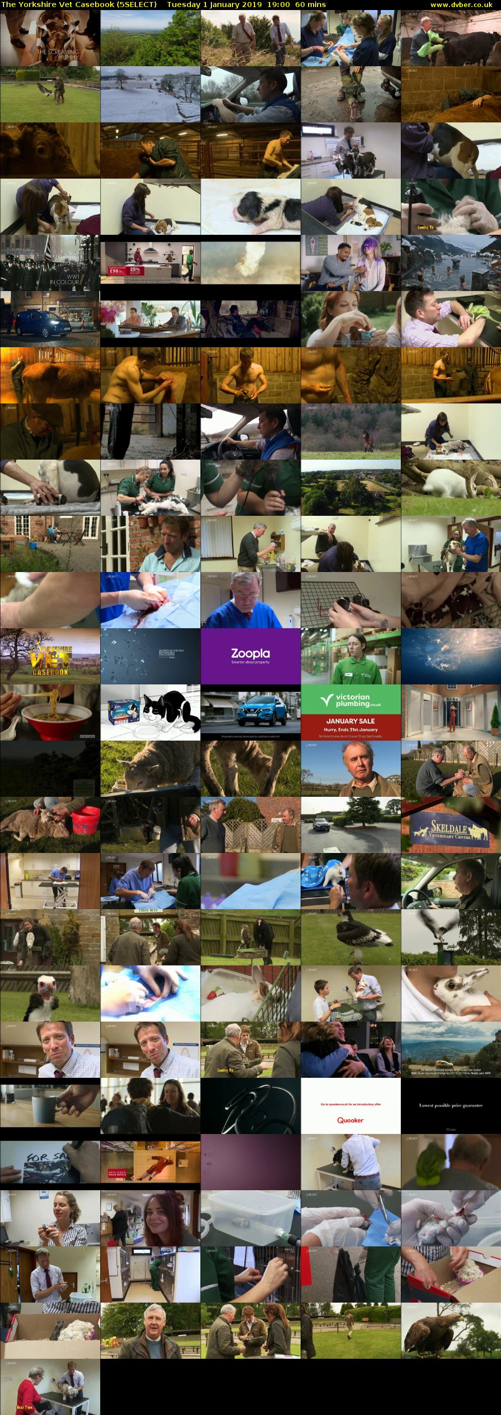 The Yorkshire Vet Casebook (5SELECT) Tuesday 1 January 2019 19:00 - 20:00