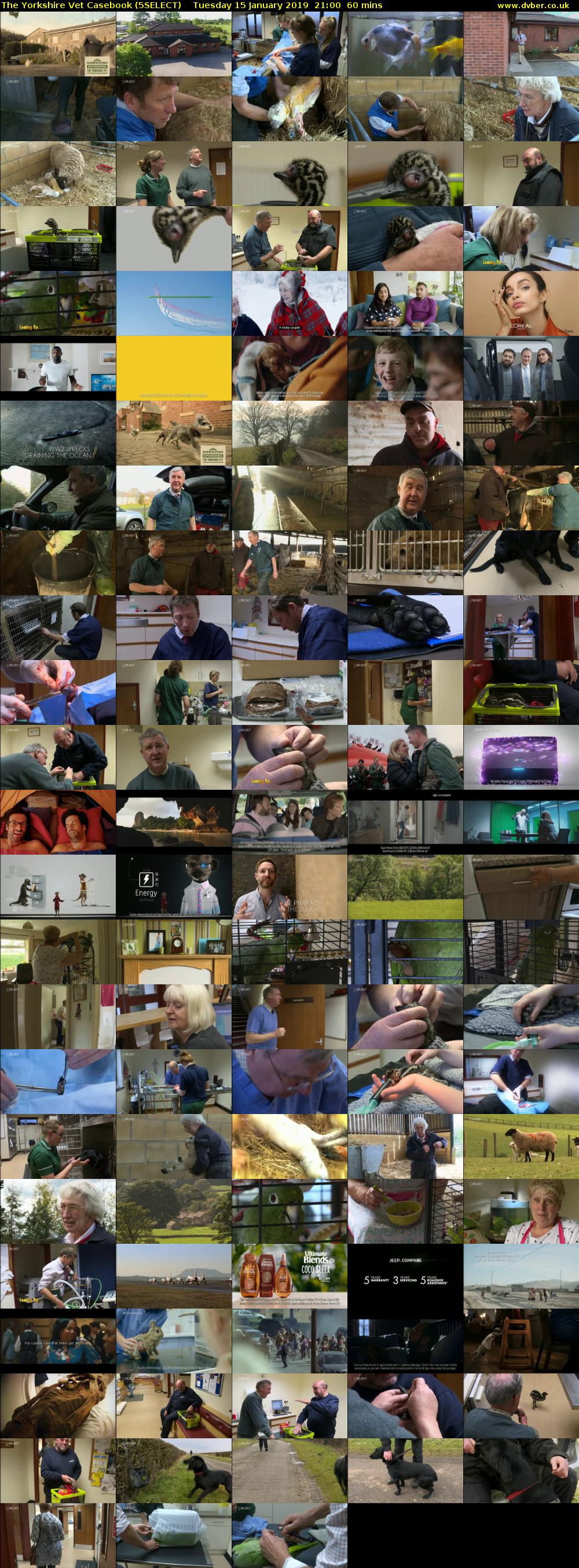 The Yorkshire Vet Casebook (5SELECT) Tuesday 15 January 2019 21:00 - 22:00