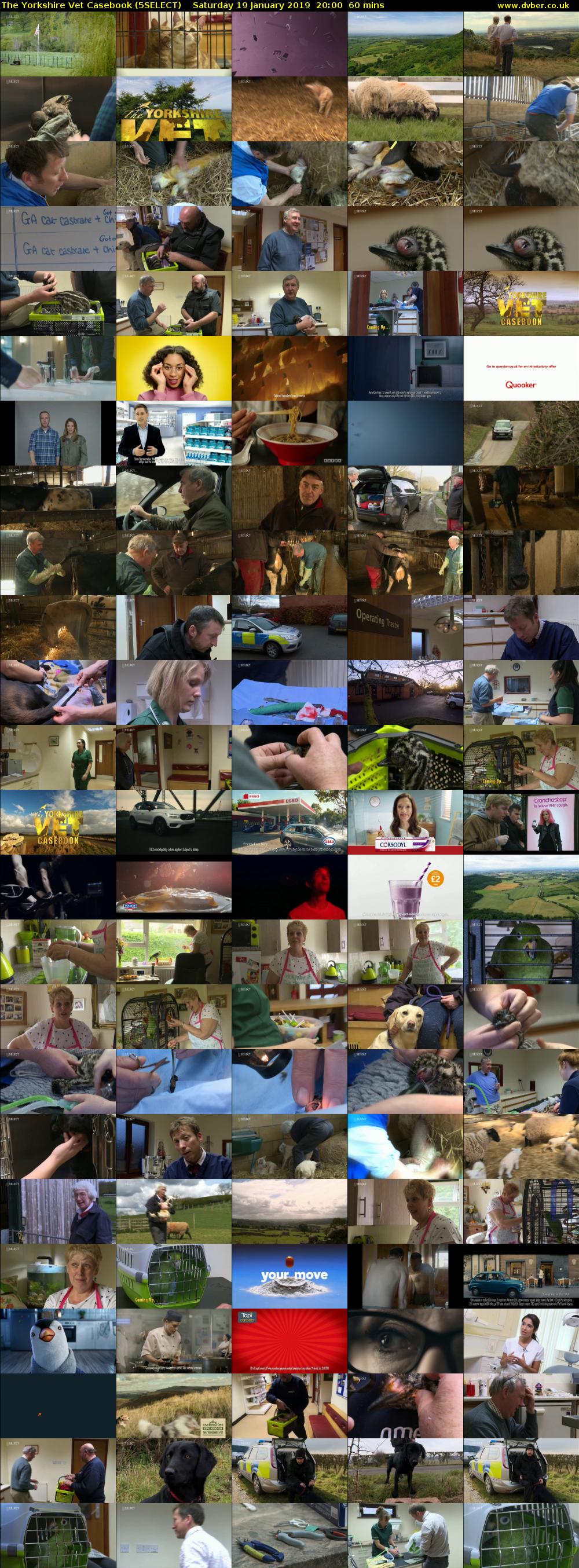 The Yorkshire Vet Casebook (5SELECT) Saturday 19 January 2019 20:00 - 21:00