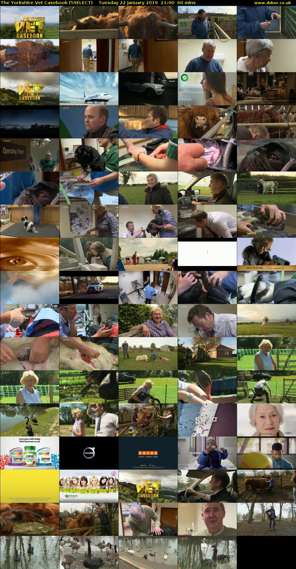 The Yorkshire Vet Casebook (5SELECT) Tuesday 22 January 2019 21:00 - 22:00