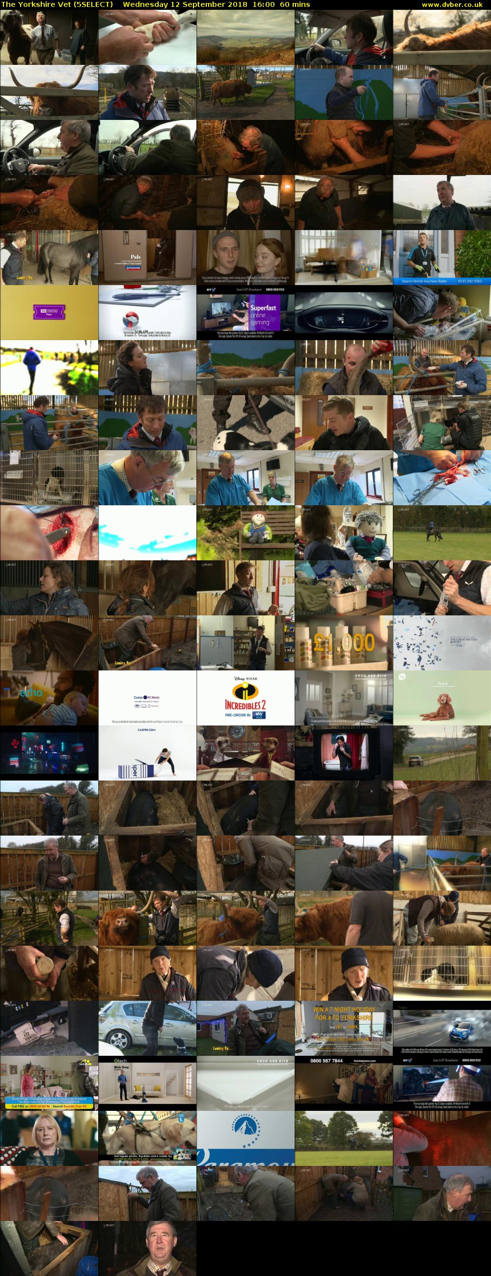 The Yorkshire Vet (5SELECT) Wednesday 12 September 2018 16:00 - 17:00