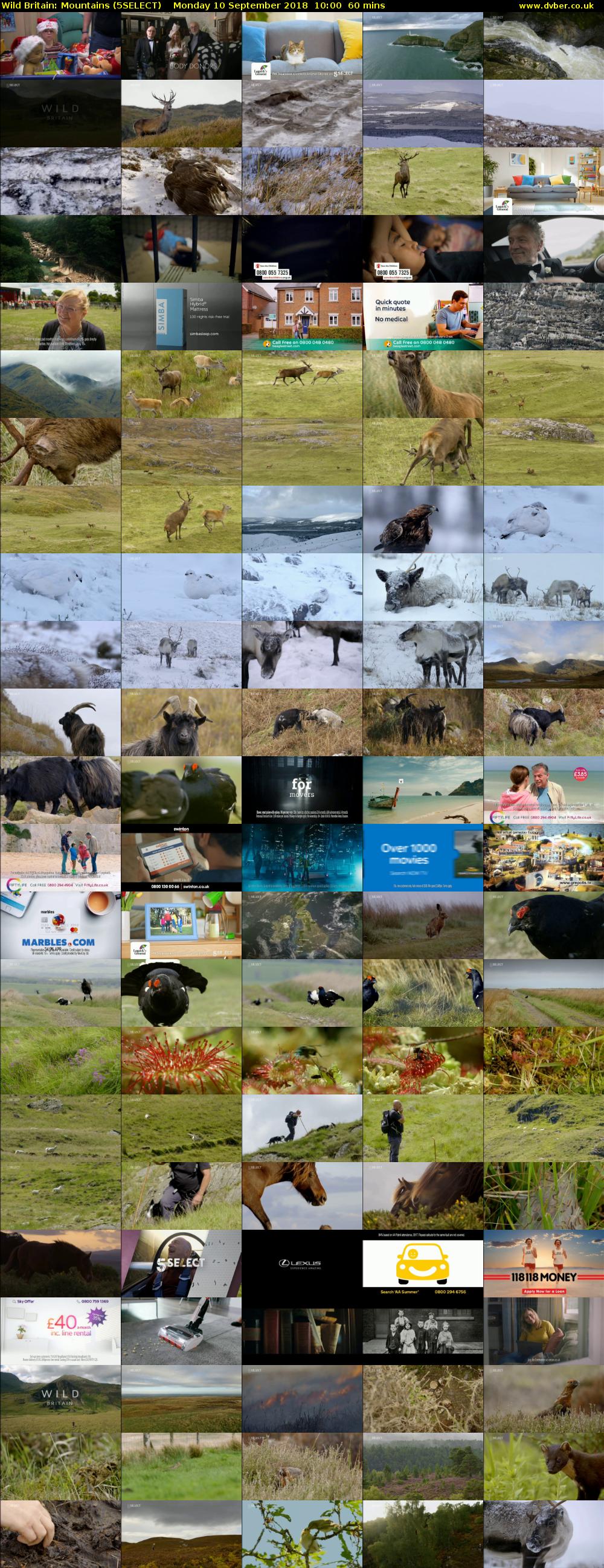 Wild Britain: Mountains (5SELECT) Monday 10 September 2018 10:00 - 11:00