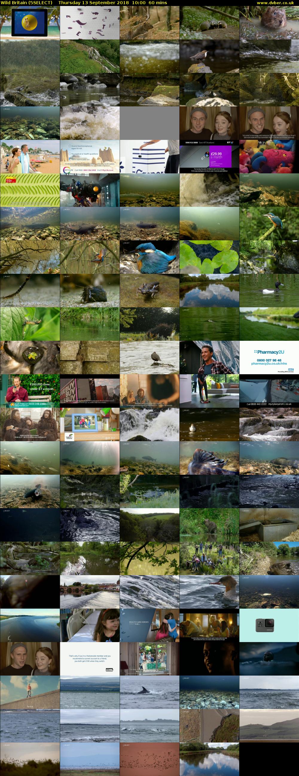 Wild Britain (5SELECT) Thursday 13 September 2018 10:00 - 11:00