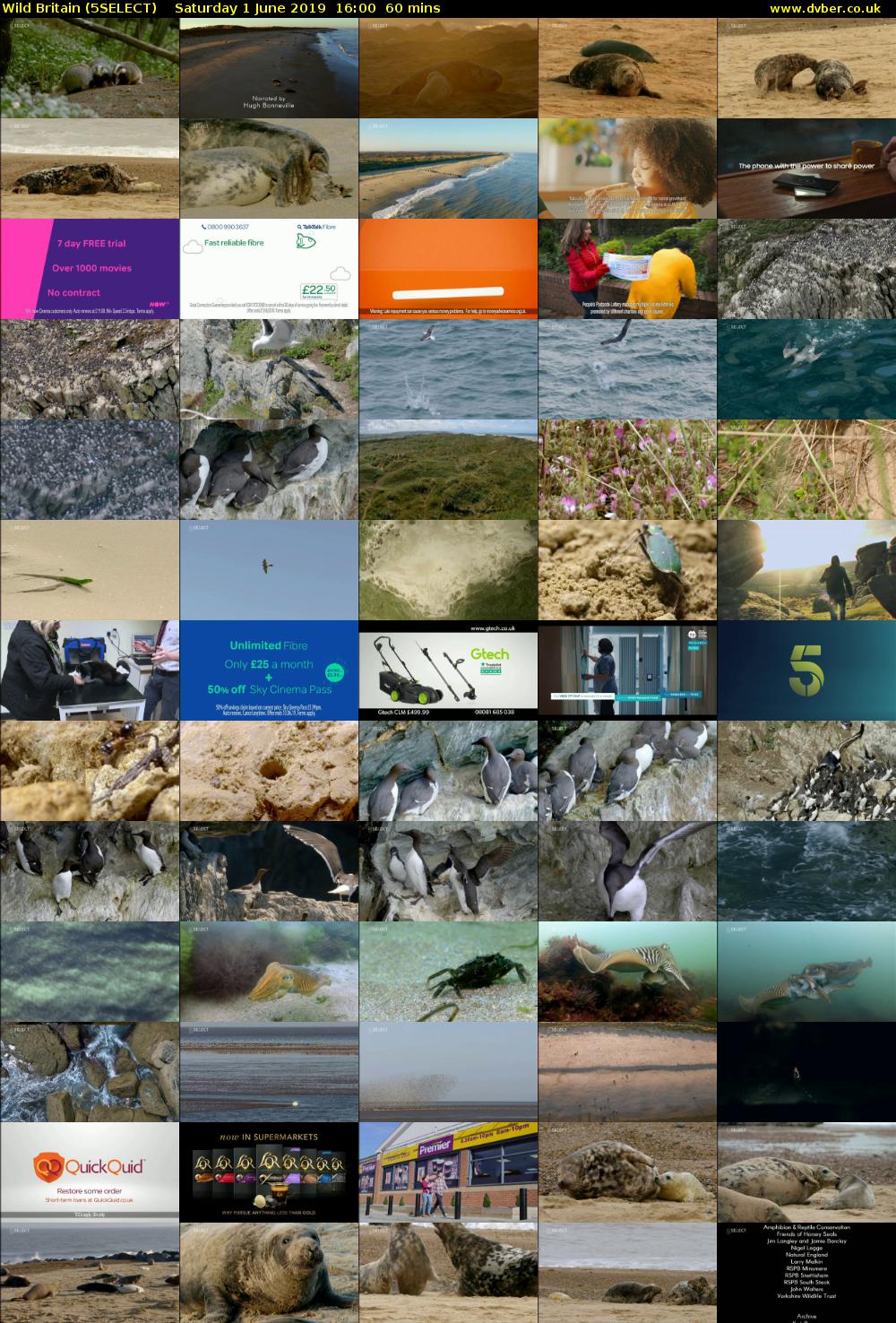 Wild Britain (5SELECT) Saturday 1 June 2019 16:00 - 17:00