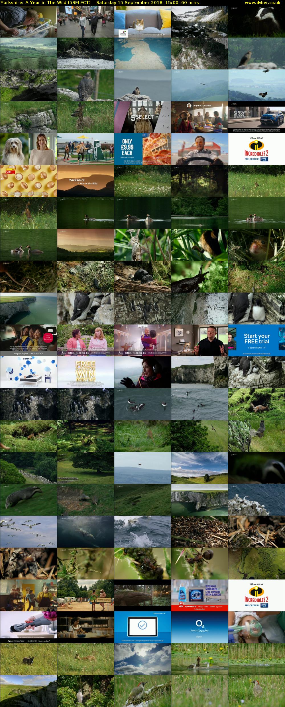 Yorkshire: A Year in The Wild (5SELECT) Saturday 15 September 2018 15:00 - 16:00