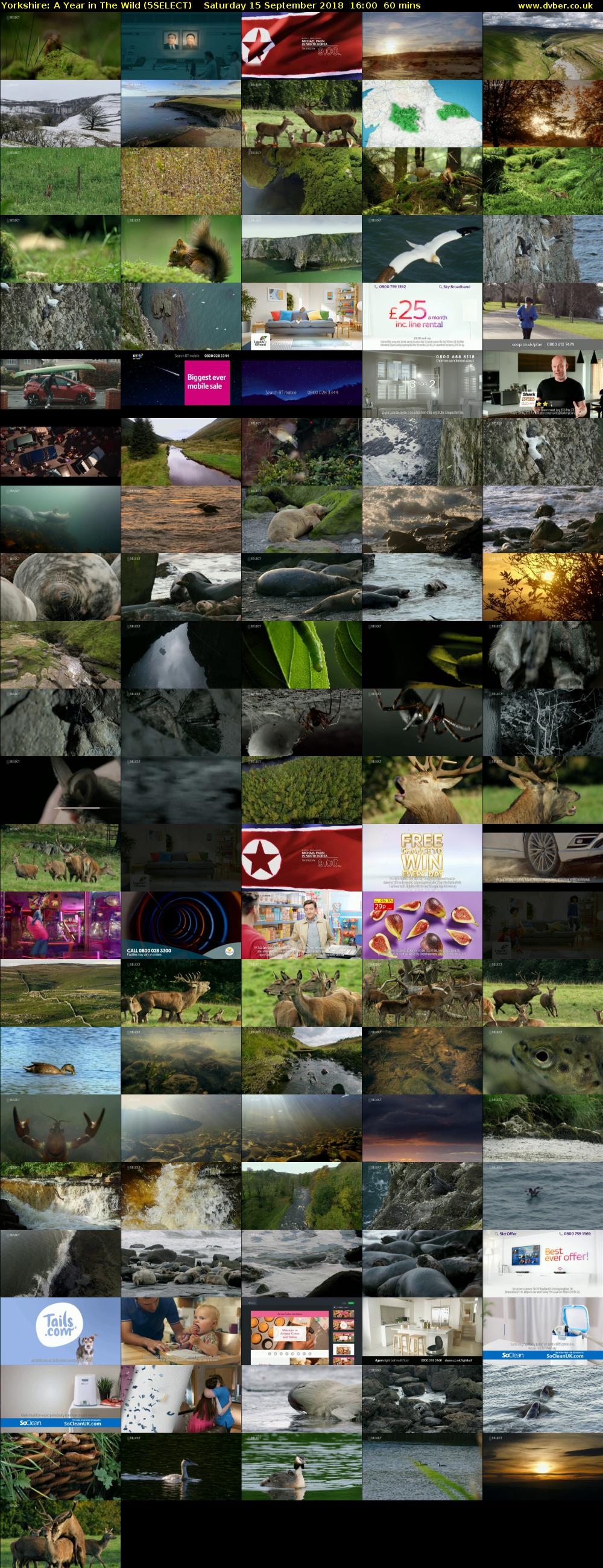 Yorkshire: A Year in The Wild (5SELECT) Saturday 15 September 2018 16:00 - 17:00