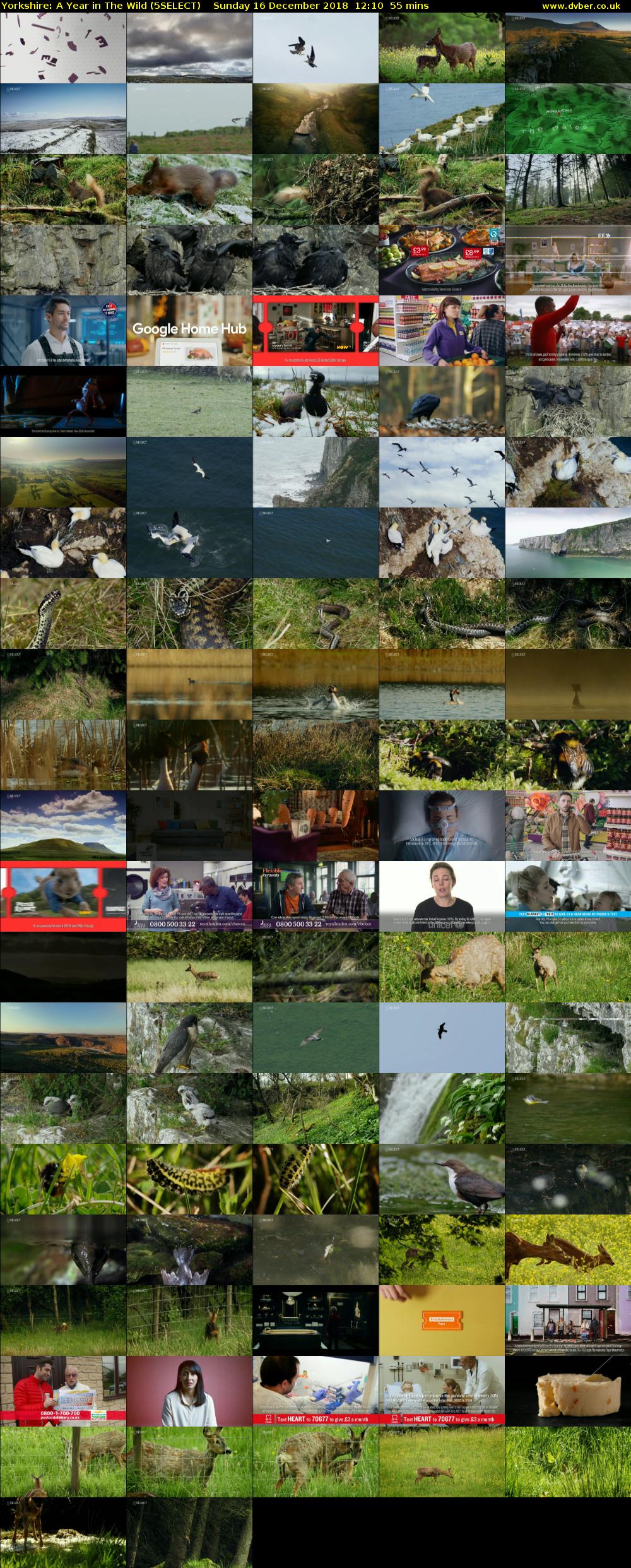 Yorkshire: A Year in The Wild (5SELECT) Sunday 16 December 2018 12:10 - 13:05
