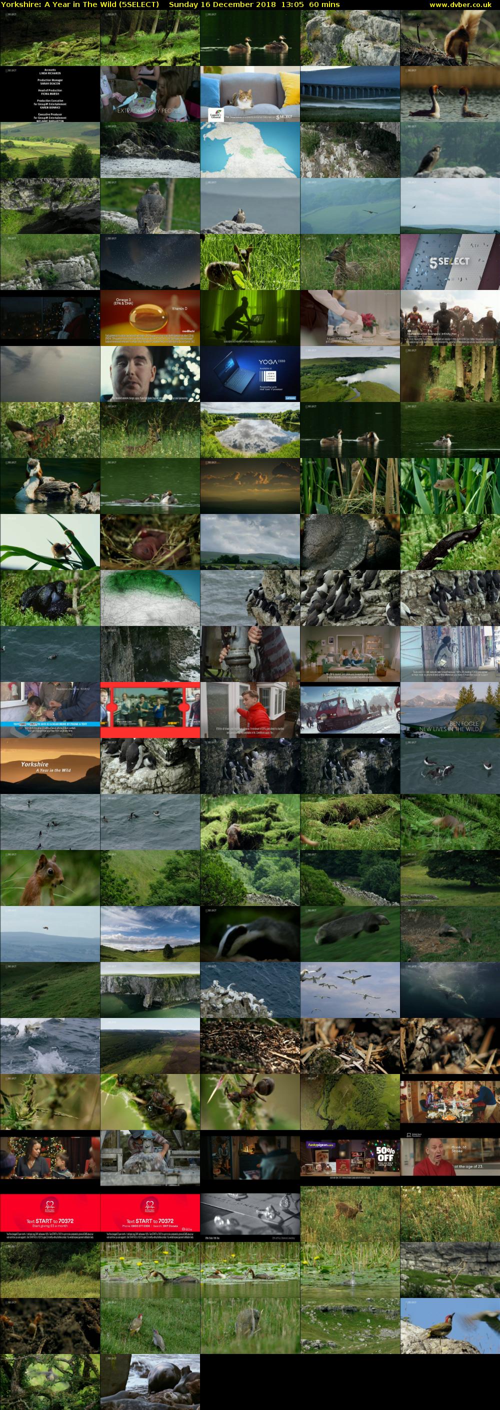 Yorkshire: A Year in The Wild (5SELECT) Sunday 16 December 2018 13:05 - 14:05