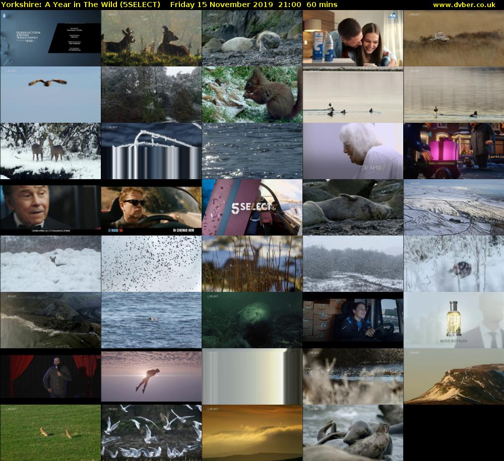 Yorkshire: A Year in The Wild (5SELECT) Friday 15 November 2019 21:00 - 22:00