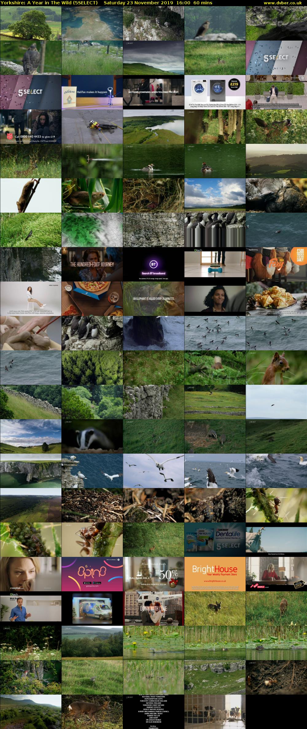 Yorkshire: A Year in The Wild (5SELECT) Saturday 23 November 2019 16:00 - 17:00