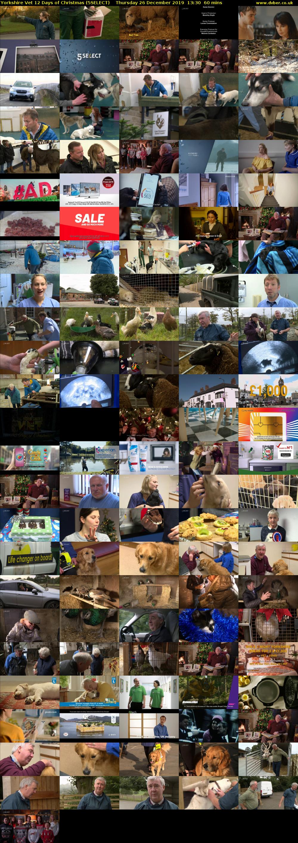 Yorkshire Vet 12 Days of Christmas (5SELECT) Thursday 26 December 2019 13:30 - 14:30