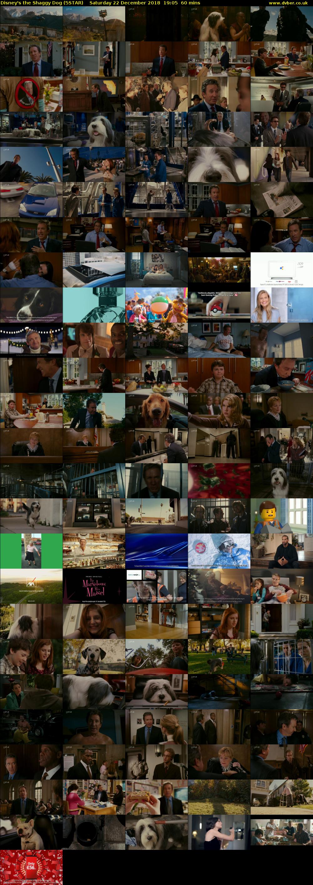 Disney's the Shaggy Dog (5STAR) Saturday 22 December 2018 19:05 - 20:05