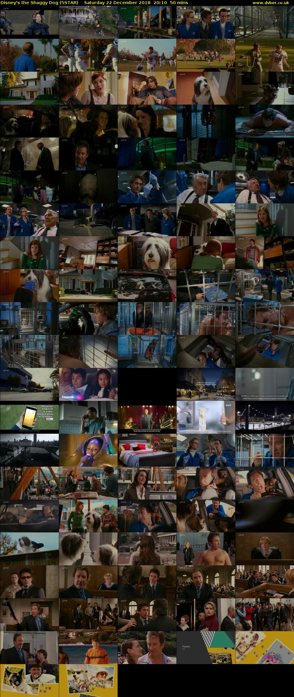 Disney's the Shaggy Dog (5STAR) Saturday 22 December 2018 20:10 - 21:00