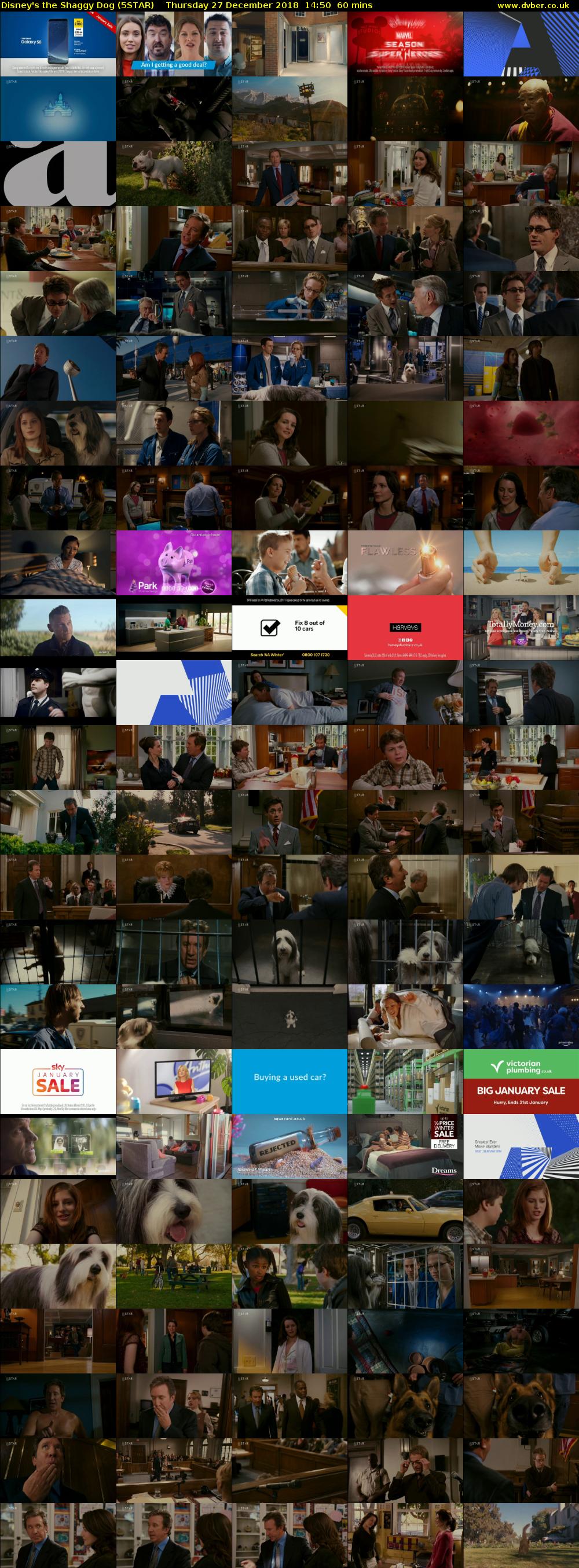 Disney's the Shaggy Dog (5STAR) Thursday 27 December 2018 14:50 - 15:50