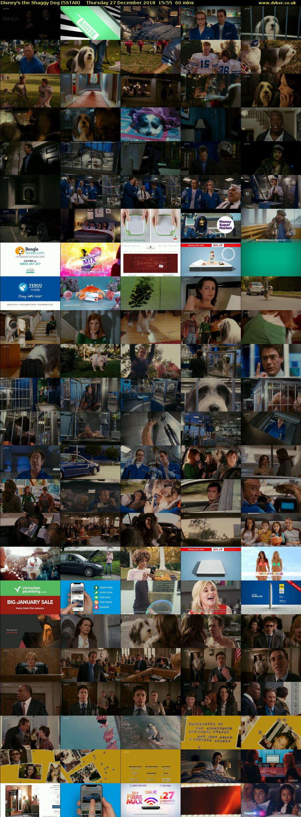 Disney's the Shaggy Dog (5STAR) Thursday 27 December 2018 15:55 - 16:55