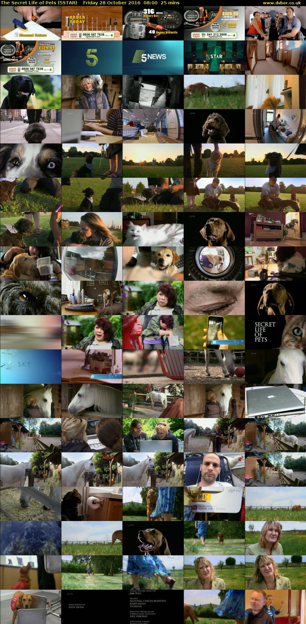 The Secret Life of Pets (5STAR) Friday 28 October 2016 08:00 - 08:25