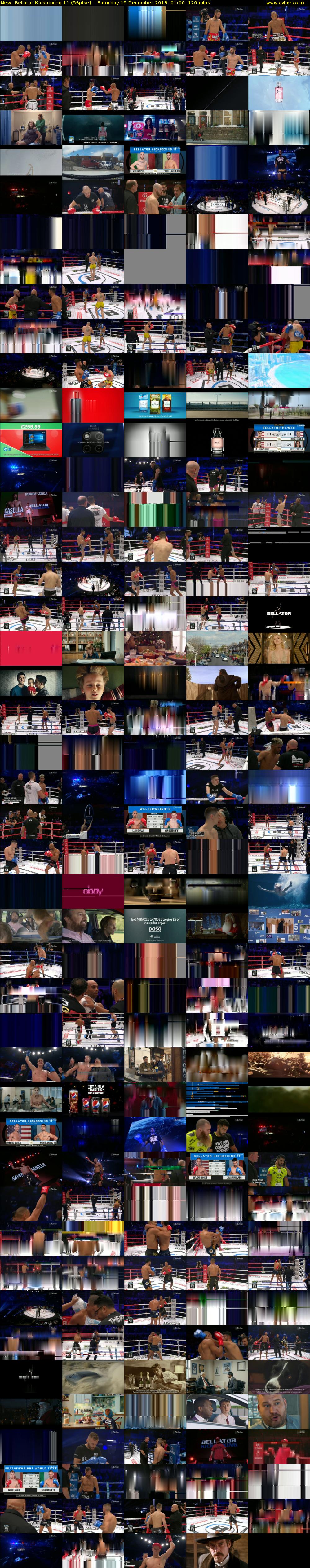 Bellator Kickboxing 11 (5Spike) Saturday 15 December 2018 01:00 - 03:00