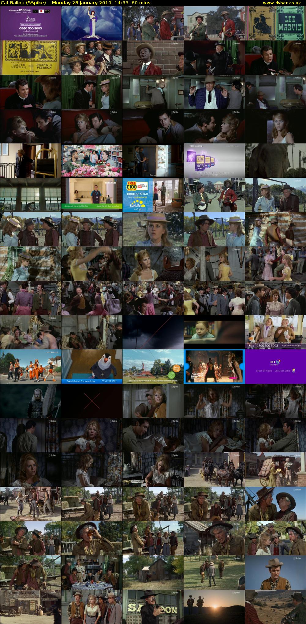 Cat Ballou (5Spike) Monday 28 January 2019 14:55 - 15:55