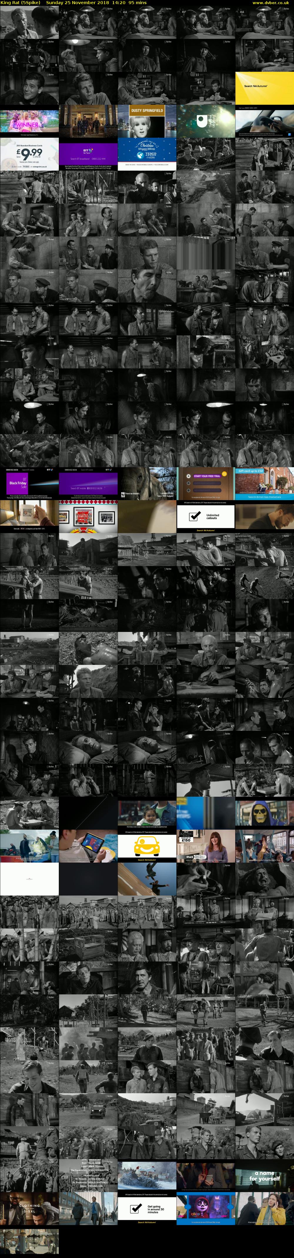 King Rat (5Spike) Sunday 25 November 2018 14:20 - 15:55